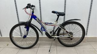 Bicicleta de montaña Olarizun