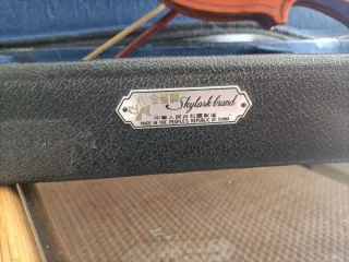Violín con estuche y arco