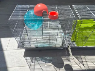 Jaulas Hámster y Bolas de Ejercicio