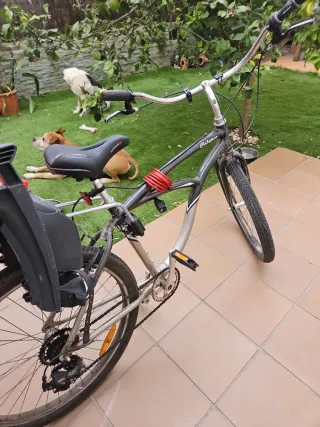 Bicicleta Calypso paseo con marchas