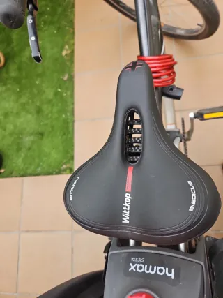 Bicicleta Calypso paseo con marchas