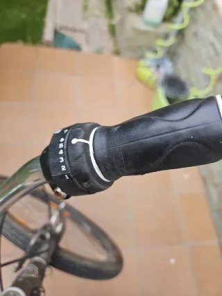 Bicicleta Calypso paseo con marchas