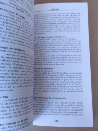 Guía Salamanca. Guías azules de España