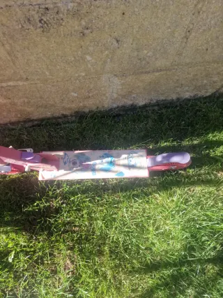 Patinete Patrulla Canina rosa