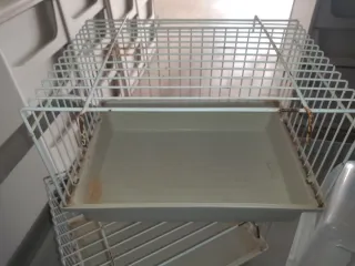 4 Vasche per Uccelli