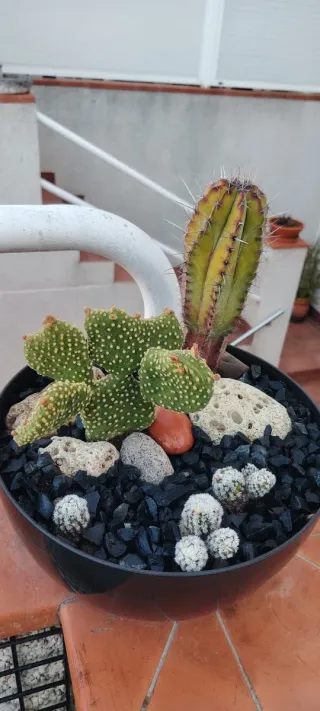 Piedra de Pizarra Decorativa Negra/Gris