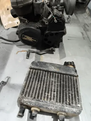 Motor Franco Morini g30