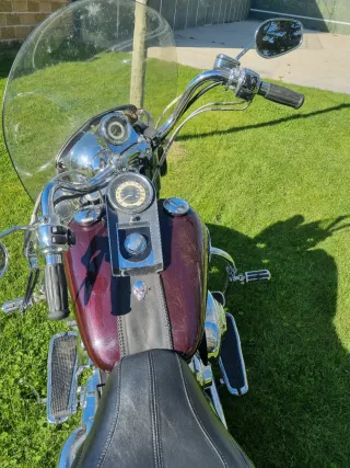 Harley Davidson Softail Deluxe Granate