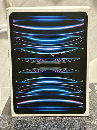 iPad Pro 11 M2 4ª Gen Argento