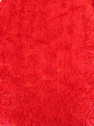 Falda Zara flores roja larga