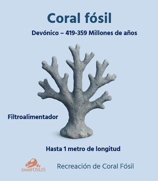 Expositor educativo Coral Cuerno CC-01