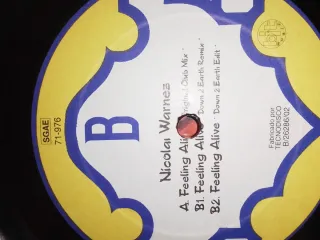 Vinilos
