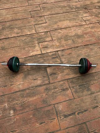 Barra Z Salter 30mm con discos