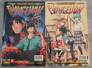 Neon Genesis Evangelion Manga Comics