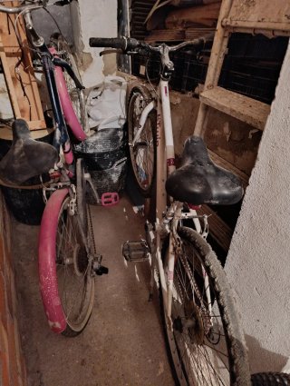 Dos bicicletas, de paseo