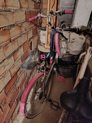 Dos bicicletas, de paseo