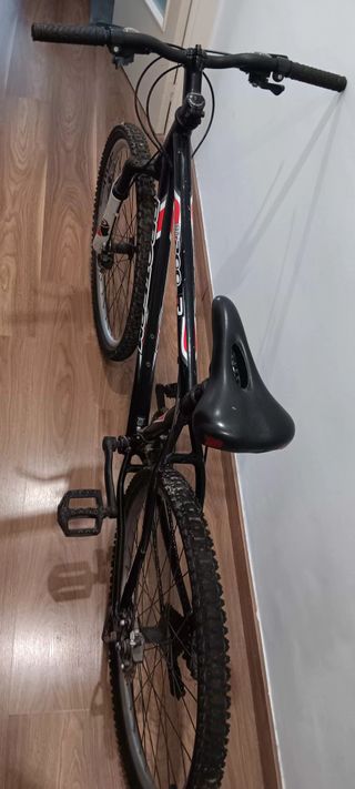 Bicicleta de Montaña
