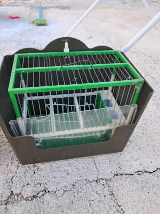 Jaula para pájaros verde