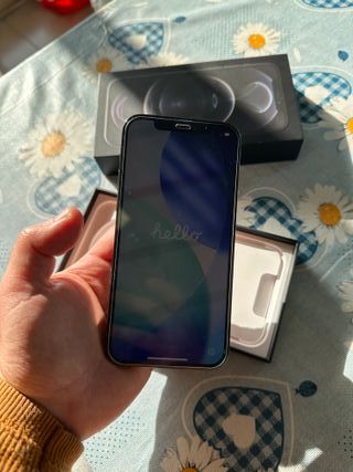 iPhone 12 Pro Argento/Grigio Siderale