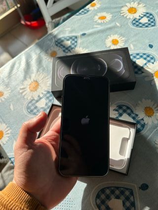 iPhone 12 Pro Argento/Grigio Siderale