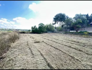 Alquiler terreno agrícola