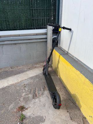 Patinete Eléctrico Xiaomi Pro 2