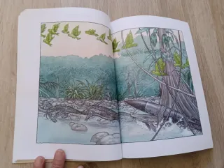 Anaconda Y Otros Cuentos N/c (Spanish Edition)