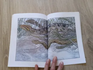 Anaconda Y Otros Cuentos N/c (Spanish Edition)