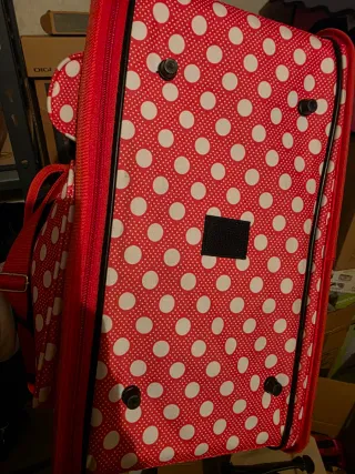 Transportín bolso para mascotas