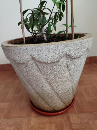 Maceta Piedra Relieve.