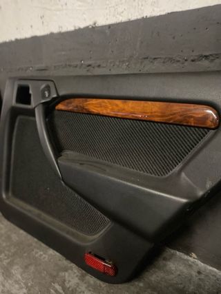 Paneles Puerta Vectra A