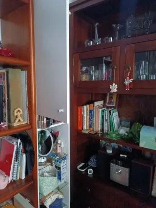 Armario baño con baldas cristal y puerta