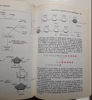 Pack 4 libros de Química y Bioquímica. Buen estado