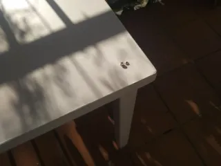 Mesa de madera blanca