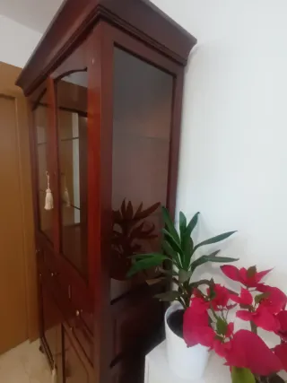 Vitrina de madera maciza con puertas de cristal