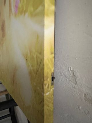 Quadro con cucciolo e gattino