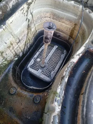 Estanque 250L con fuente