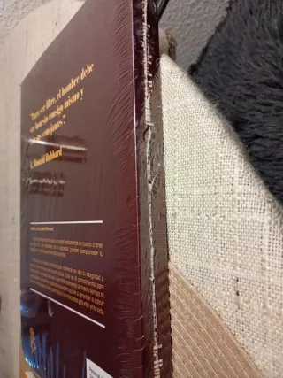 Valores e Integridad Personal