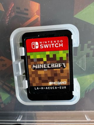 Minecraft Nintendo Switch