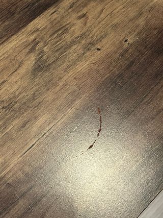 Mesa de centro madera nogal y patas metálicas