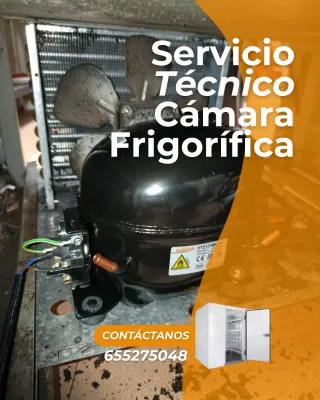 Servicio Técnico Cámara Frigorífica