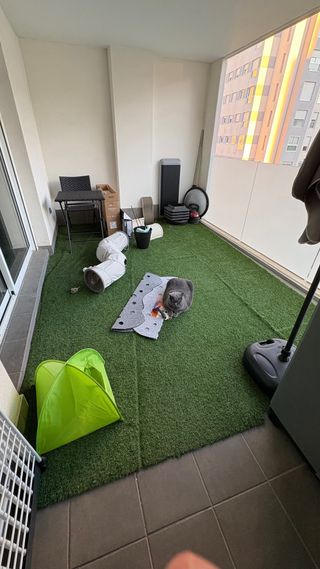 Césped artificial para exterior.