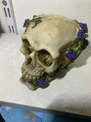 Caveira Decorativa com Charuto e Chapéu