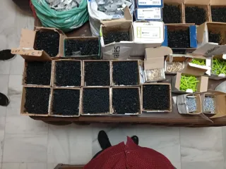 Lote de tornillos negros