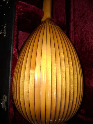 Mandolina Suzuki M-80 Arce