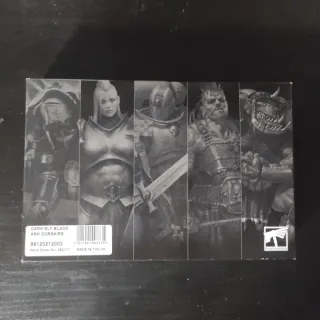 10 Corsarios Elfos Oscuros Warhammer