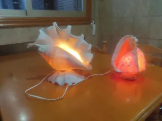 Lámparas de concha marina