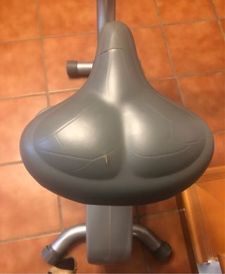 Bicicleta Estática Gris y Blanca