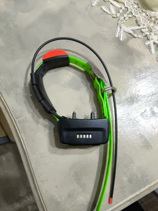 Collar Rastreador GPS Garmin TT15