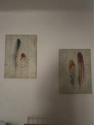 Pack 2 Cuadros Decorativos Plumas